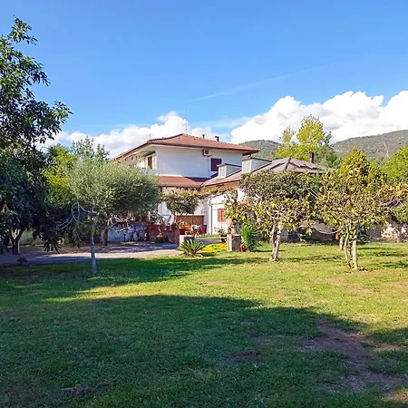 Giallo Limone B&B-3